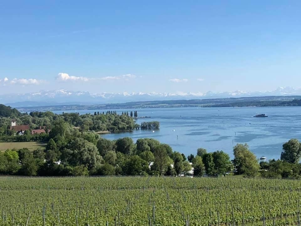Ferienwohnung "Schmuckstueck Am Tor" Meersburg Buitenkant foto